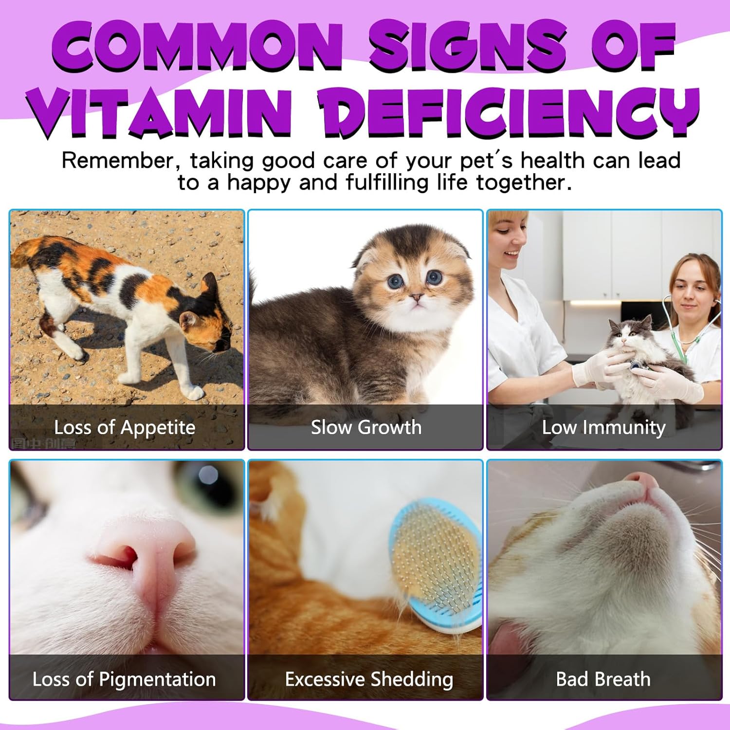 2PCS Liquid Multivitamin for Cat, 15 in 1 Cats Multivitamin Liquid Drops Supplements for Skin & Coat, Heart Health, Bones and Joint, Cat Vitamins with Glucosamine and MSM, Immune System Support - Happypetzone.online - Image 5