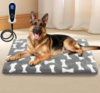 heated dog bed winter