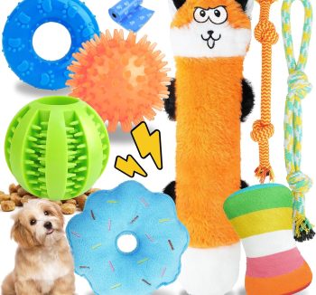 small pet toys for boredom