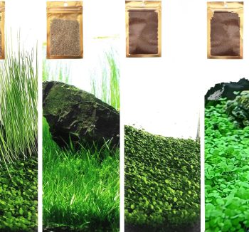 aquarium natural plants