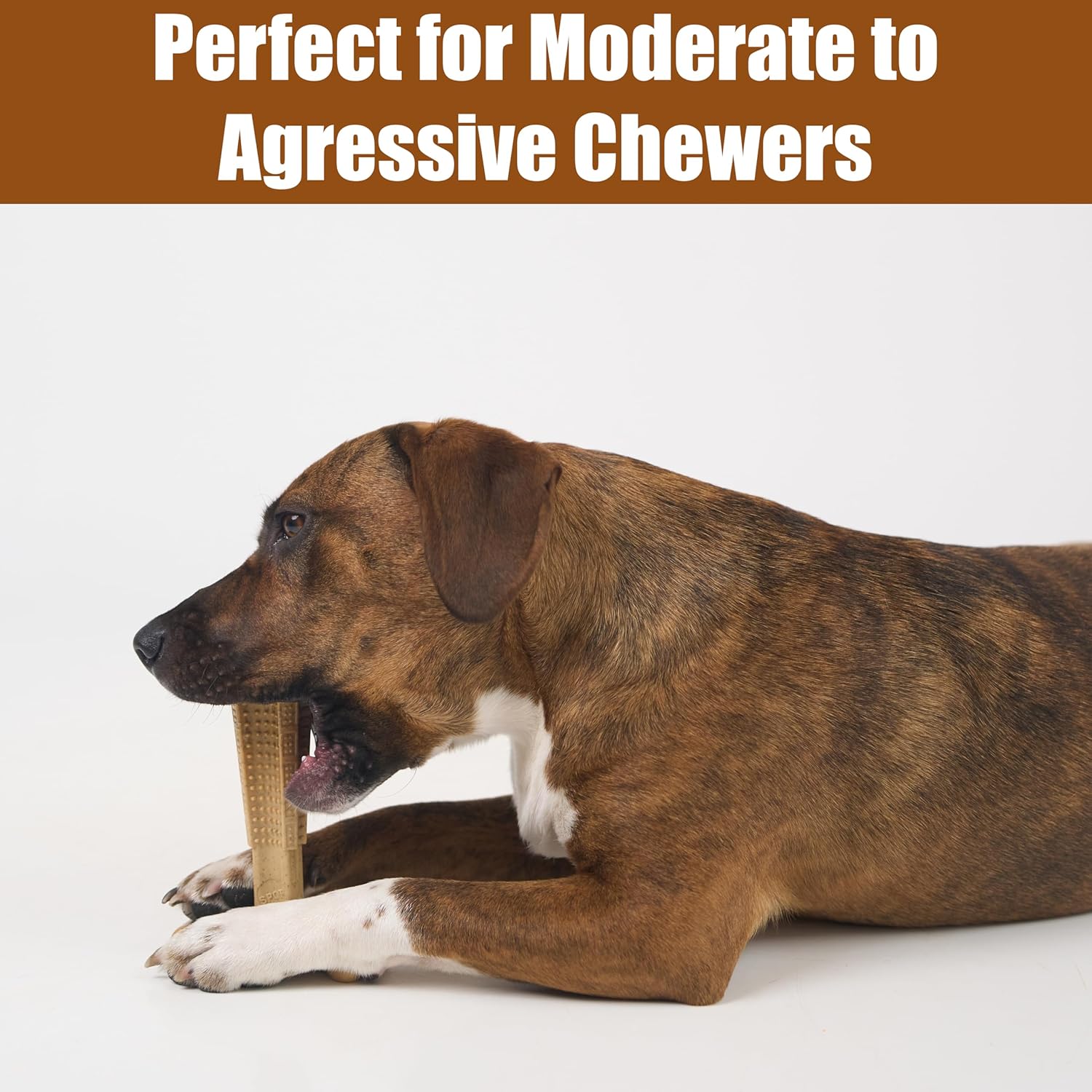 SPOT Bam-Bones Plus T-Bone Dog Chew Toy, Bamboo Fiber & Nylon, Chicken Flavor, Durable Non-Splintering Chew for Moderate to Aggressive Chewers, Dogs 30-60 lbs, 6 Inch - Happypetzone.online - Image 5