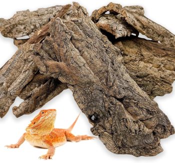 reptile soil substrate
