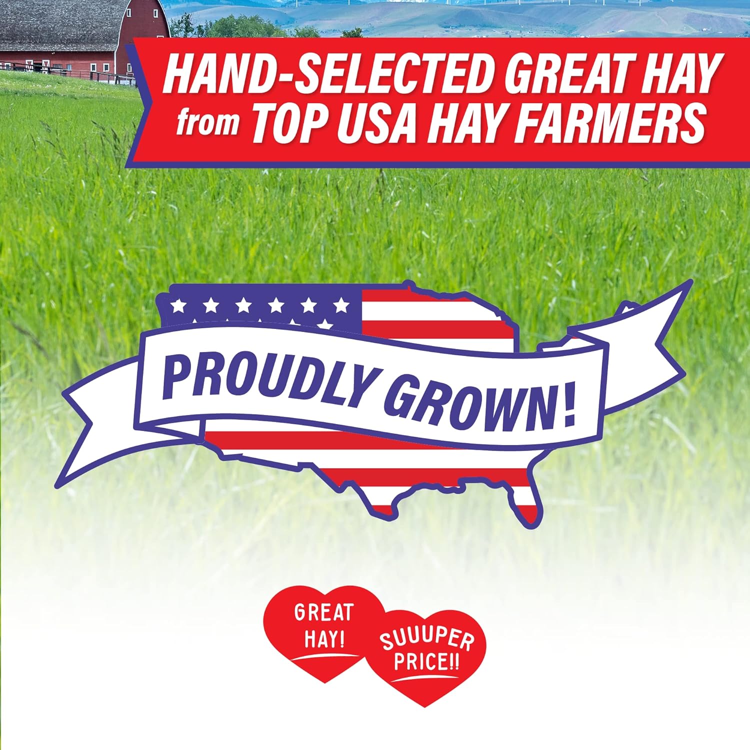 Small Pet Select Value Choice Timothy Hay for Rabbit, Guinea Pig, Bunny, Chinchilla and Other Small Animals, Premium Natural Hay Grown in The US, Pet Food, 8lb - Happypetzone.online - Image 3