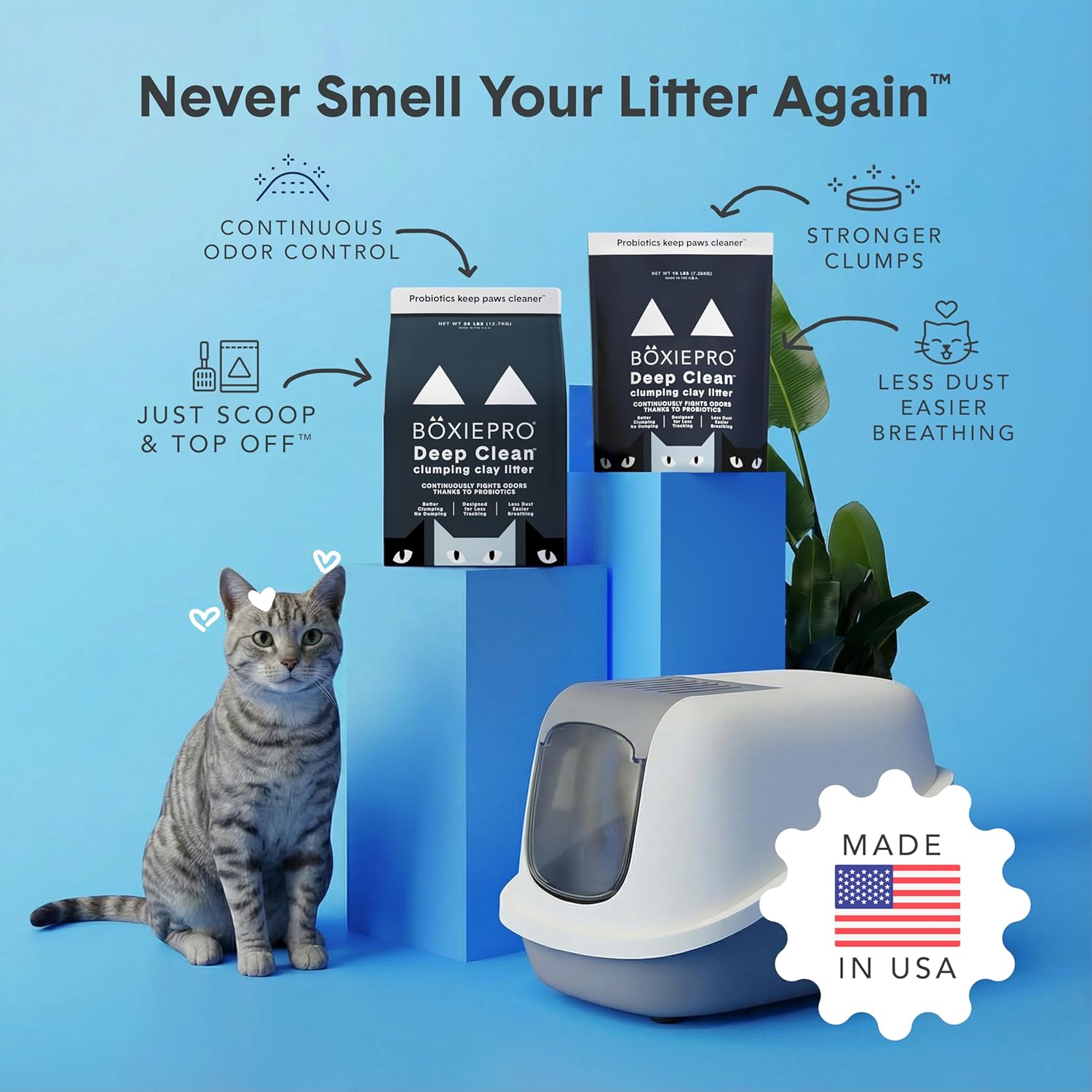 Boxie Probiotic Cat Litter, 40 Day Odor Control, Clumping Clay Kitty Litter, Odor Eliminating Probiotics, Dust-Free, No Fragrances No Fillers, 16 lb - Happypetzone.online - Image 4