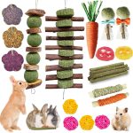 guinea pig toys fun