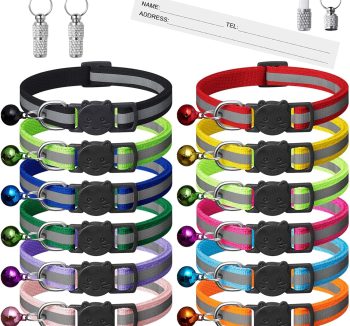 cat collar reflective
