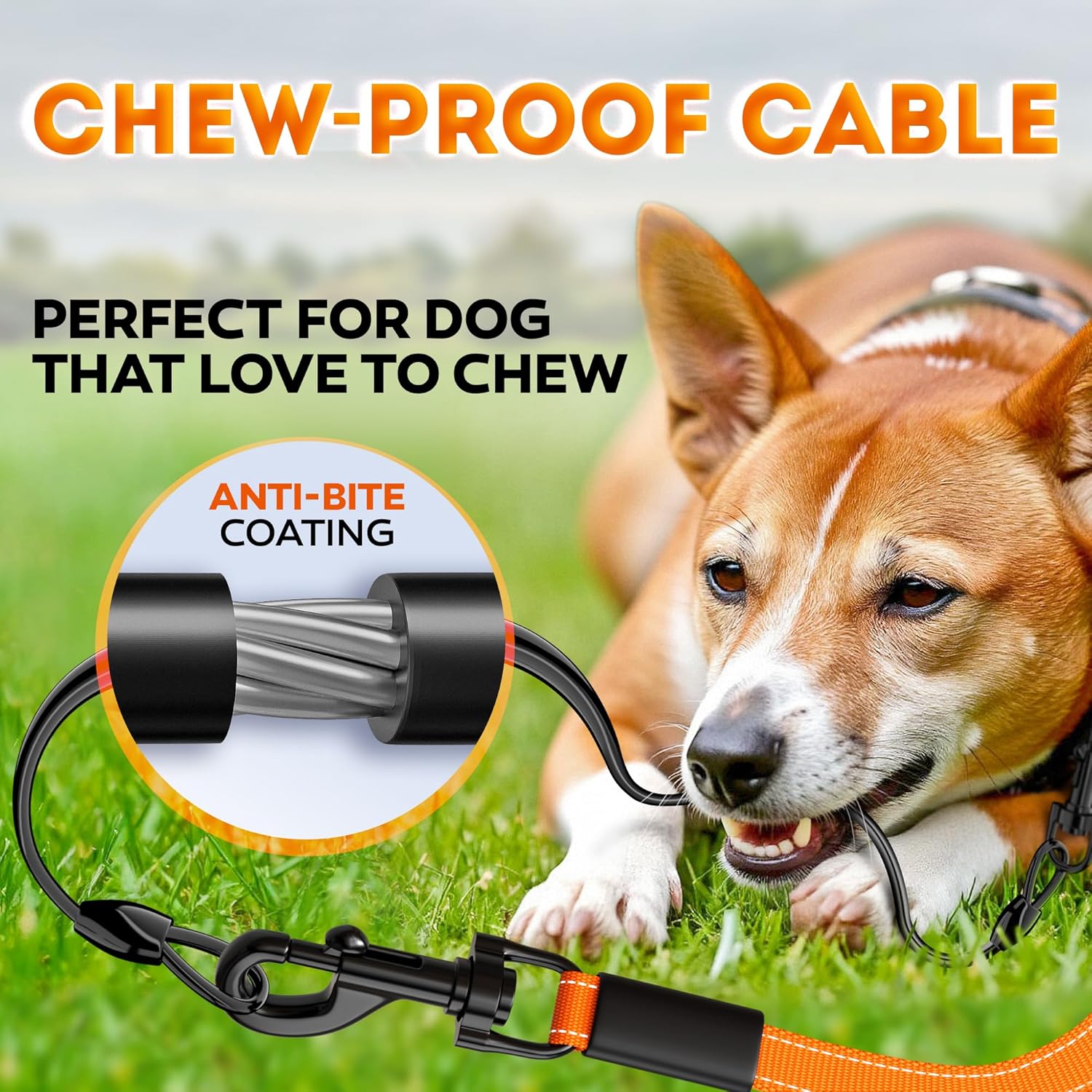 Retractable Dog Leash 18.2 ft – Chew Proof Cable Included – 360° Tangle-Free Design – Heavy Duty Reflective Leash – Soft Anti-Slip Grip Outdoor Daily for Dogs 10-50 lbs (Orange) - Happypetzone.online - Image 3