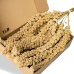 premium bird food