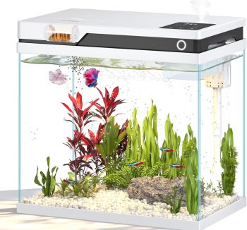 aquarium kit complete