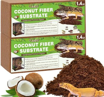 reptile sand substrate