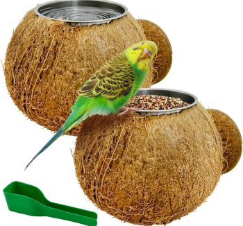 natural bird food