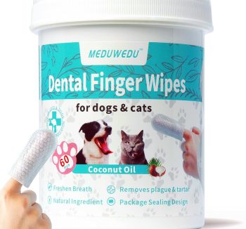 small pet dental care