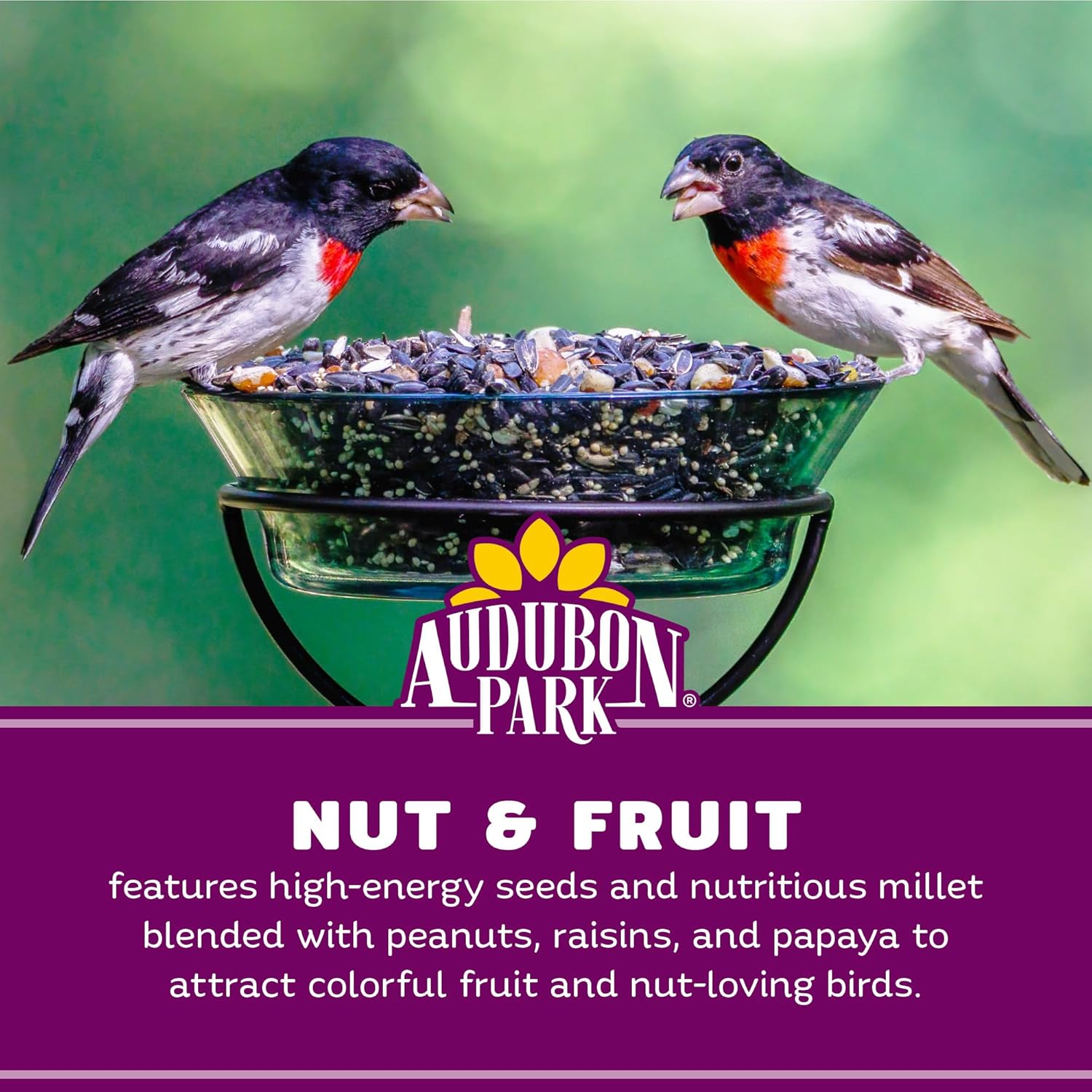 Audubon Park Nut & Fruit Wild Bird Seed – 8 lb. Premium Blend with Sunflower Seeds, Peanuts, Safflower & Dried Fruit – Bird Food for Outside Feeders - Happypetzone.online - Image 4