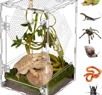 reptile tank acrylic
