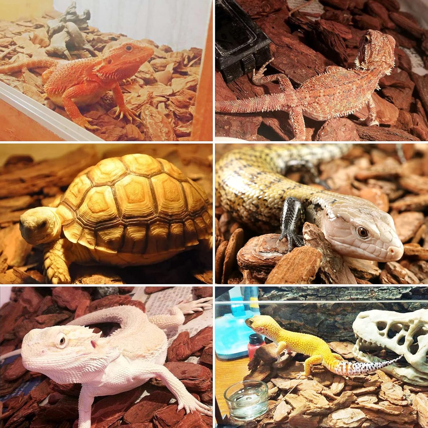 Hamiledyi Reptile Bark Bedding Tortoise Habitat Substrate Natural Terrarium Bark Wood Chips Tank Supplies for Snake Spiders Bearded Dragons Hermit Crabs Geckos - Happypetzone.online - Image 8