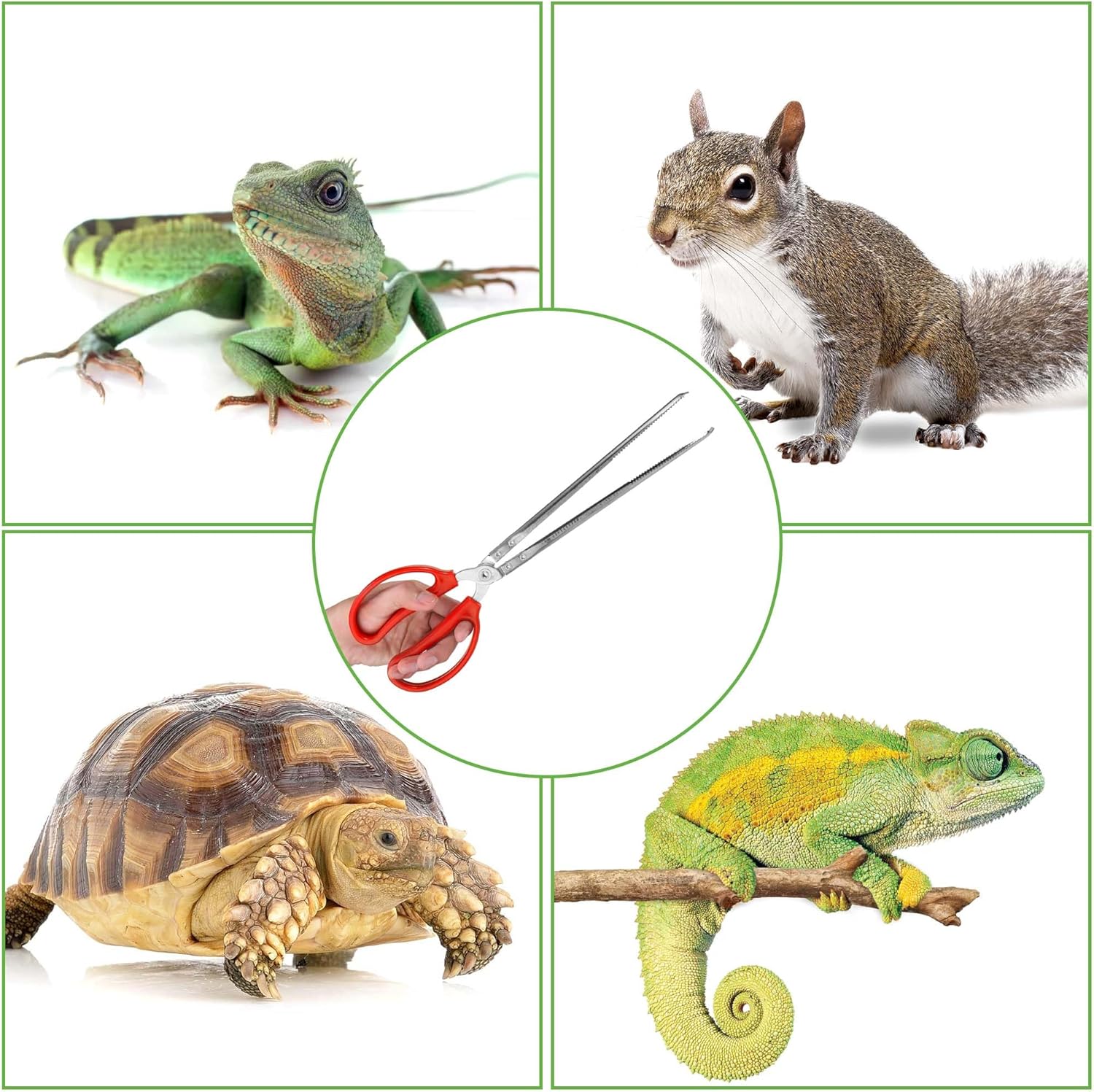 Snake Feeding Tongs,15 Inch Reptile Feeding Tongs,Extra Long Large Tweezers for Corn Ball Python Accessories,Bearded Dragon Tank Accessories,Pet Terrarium Supplies for Leopard Crested Gecko,Lizard - Happypetzone.online - Image 4