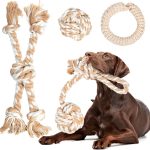 dog fetch toys