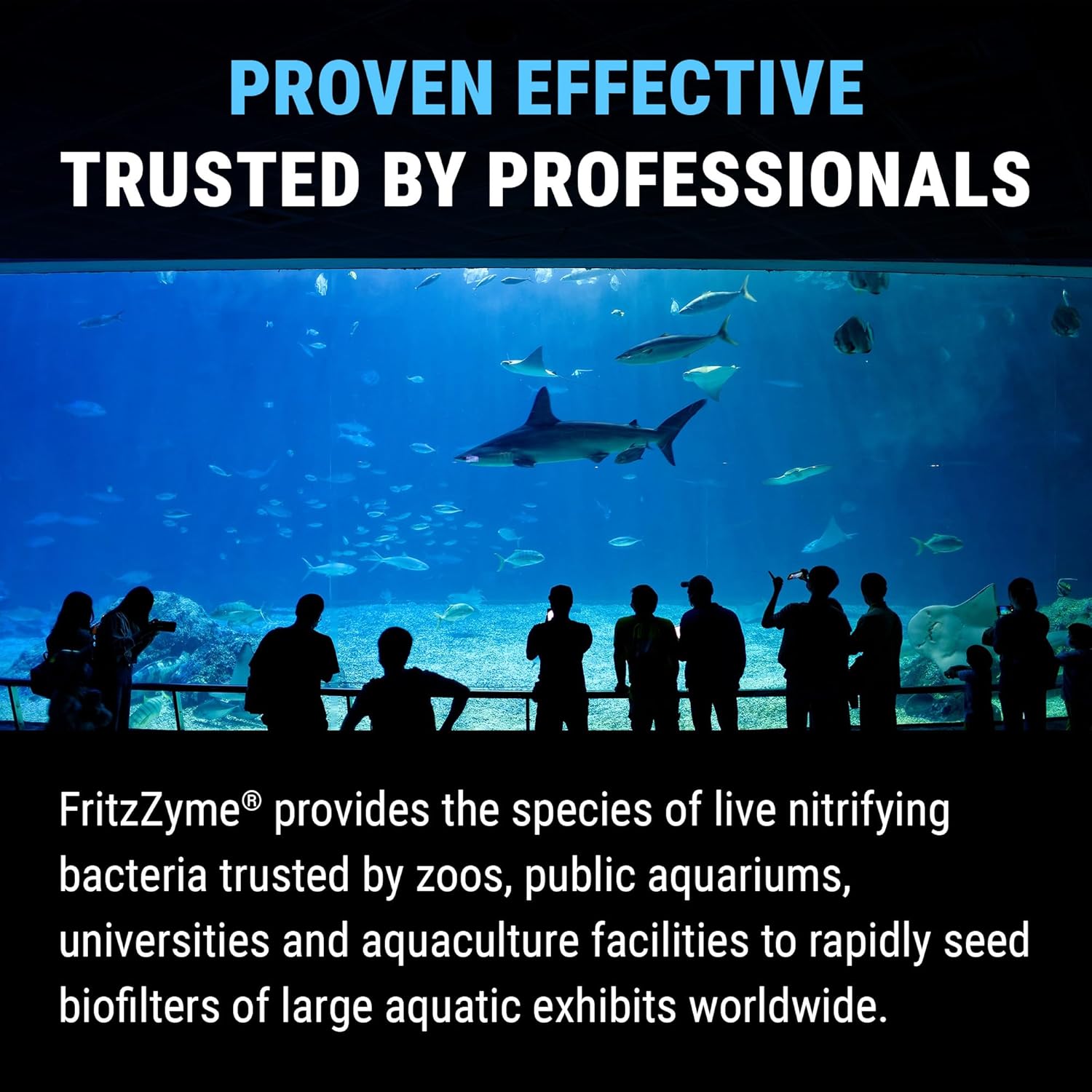 Fritz Aquatics FritzZyme 7 Live Nitrifying Bacteria Naturally Removes Amonia & Nitrite for Freshwater Fish (32-Ounce) - Happypetzone.online - Image 7