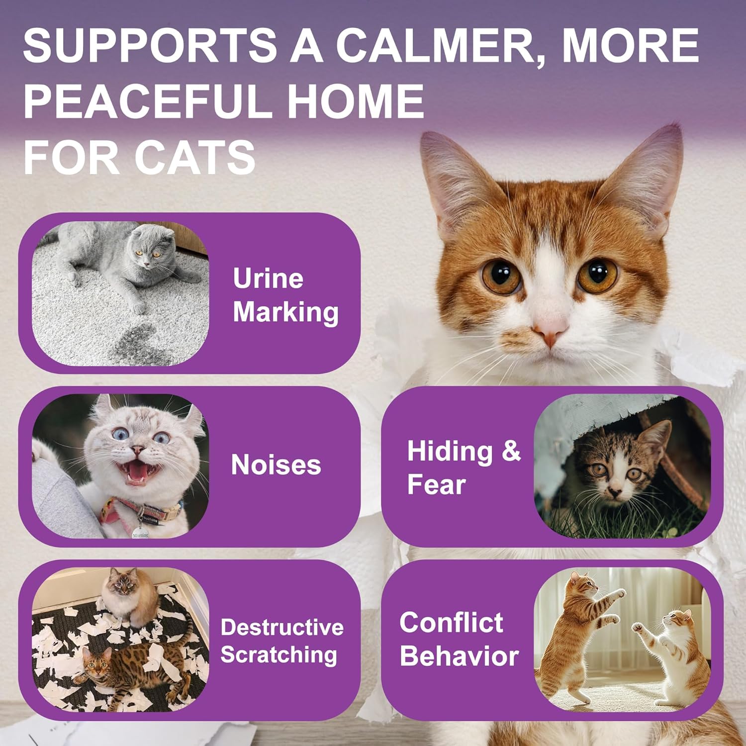 Cat Calming Pheromone Diffuser, Cat Anxiety Relief Diffuser Plug in Calmer with 2 Diffusers & 4 Refills, Reduce Cat Anxiety, Cat Fighting, Urine Marking, Scratching & Stress 48ml/Bottle for All Cats - Happypetzone.online - Image 3