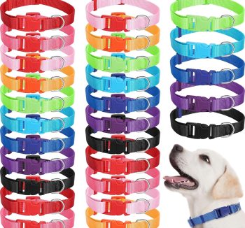 cheap dog collars bulk