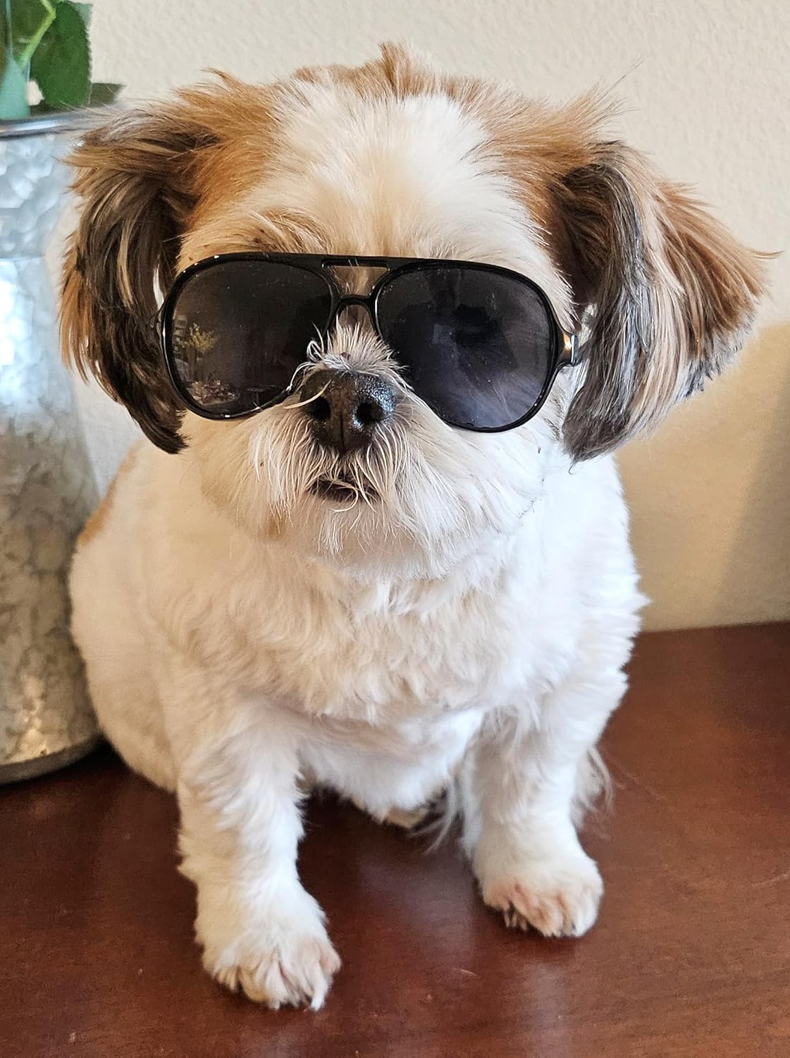 G029 Small Dog Breed up to 15lbs Cat Pet Aviator Sunglasses Glasses (Black) - Happypetzone.online - Image 2