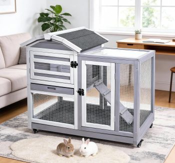 rabbit hutch outdoor