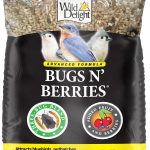 best bird food