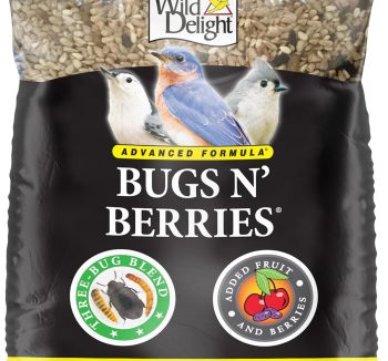 best bird food