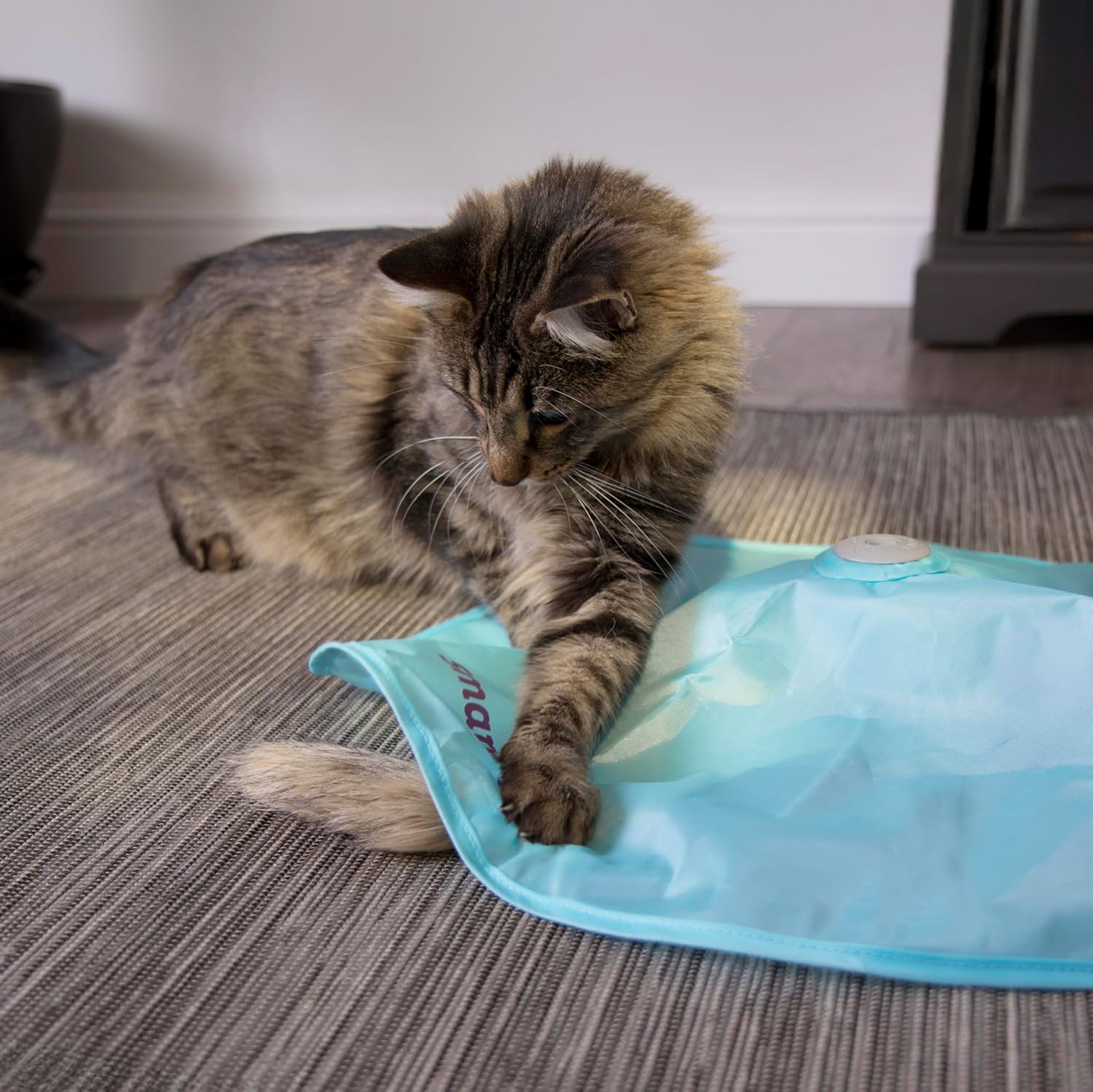 SmartyKat Electronic Motion/Moving Toys for Cats & Kittens, Battery Powered, Mimics Motion of Real Prey, Fun & Interactive Play - Multiple Styles - Happypetzone.online - Image 8