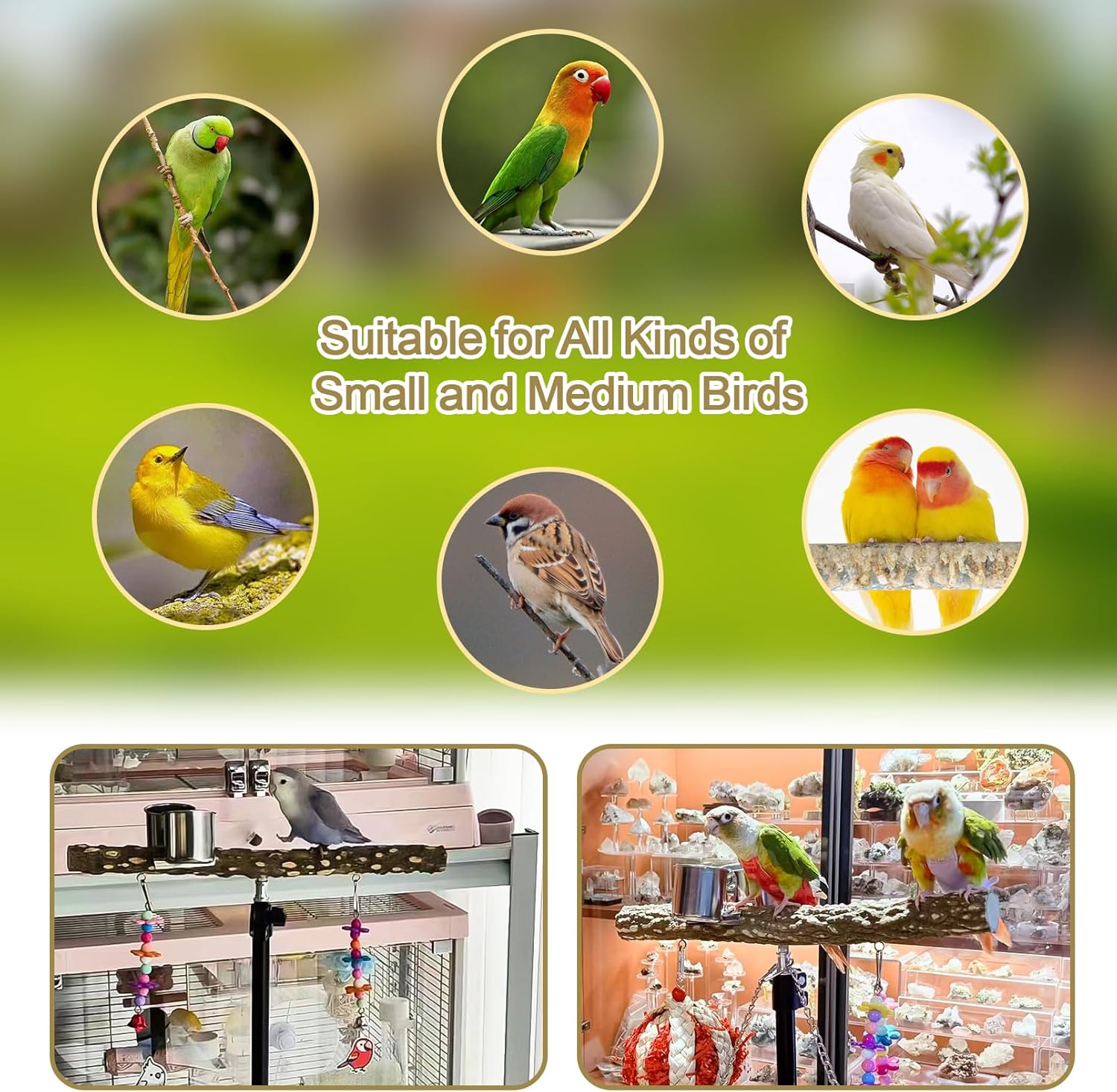 16-63 Inch Height Adjustable Bird Perch Pepper Wood Parrot Training Perch Stand with Feeding Cups and Swing Toy Parakeet Perches Indoor and Outdoor Parrot Stands for Small to Medium Bird - Happypetzone.online - Image 7