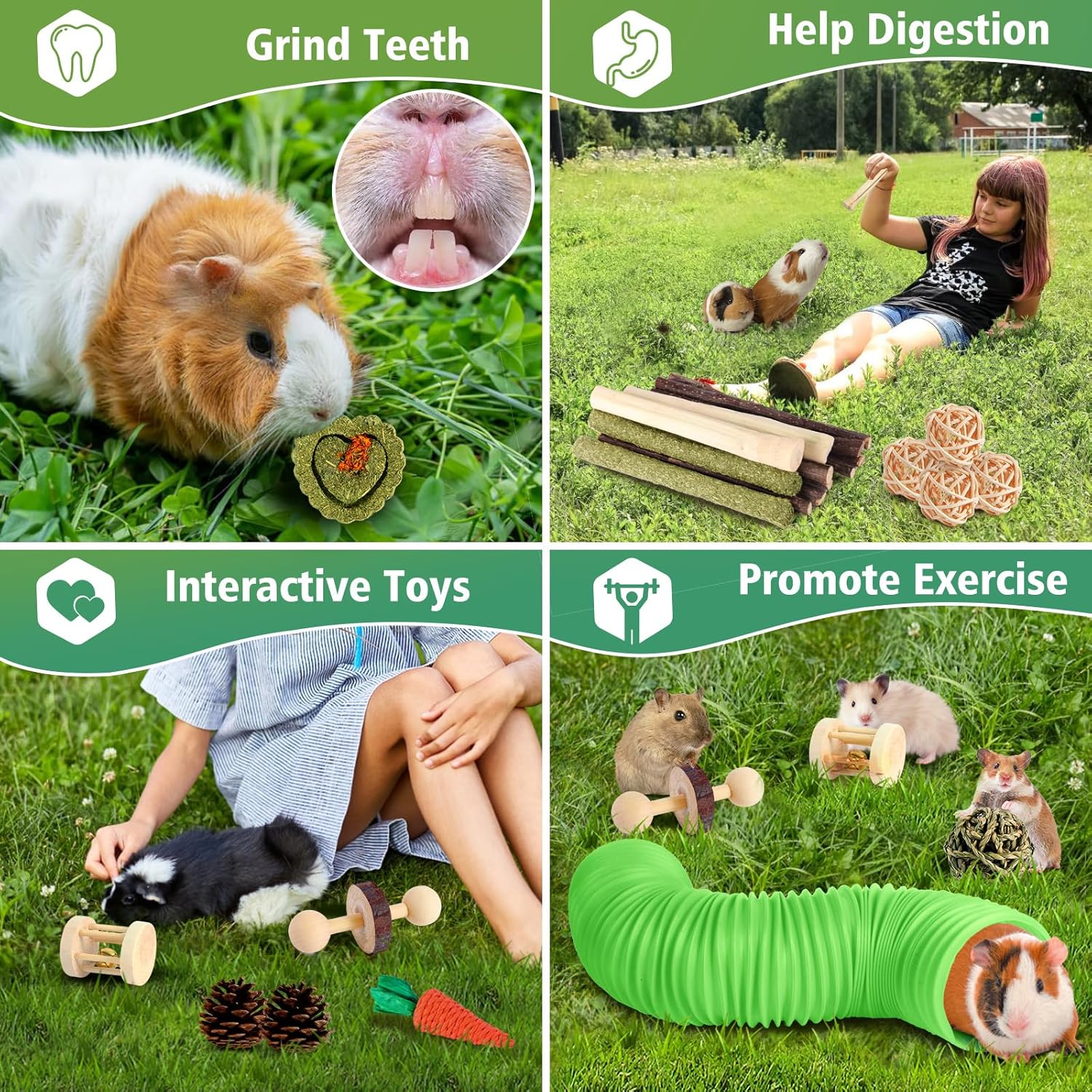 Kyouki Hamster Toys Guinea Pig Toys Set with Tunnel, Chewable Apple Wood & Natural Timothy Hay - Enrichment Chew Toys for Small Animals - 24+ Cage Accessories for Teeth Care & Boredom Relief (Green) - Happypetzone.online - Image 4