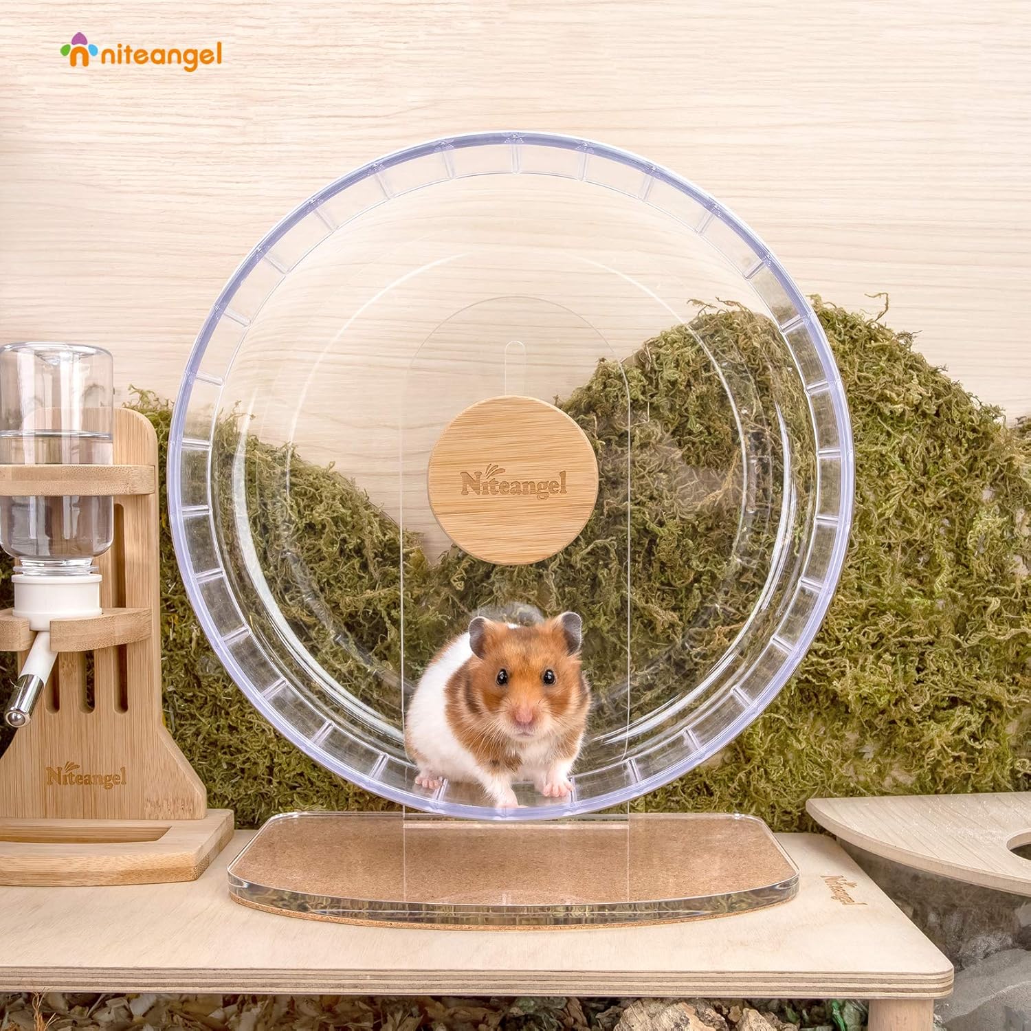 Niteangel Super-Silent Hamster Exercise Wheels - Quiet Spinner Hamster Running Wheels with Adjustable Stand for Hamsters Gerbils Mice Or Other Small Animals (M, Transparent) - Happypetzone.online - Image 4