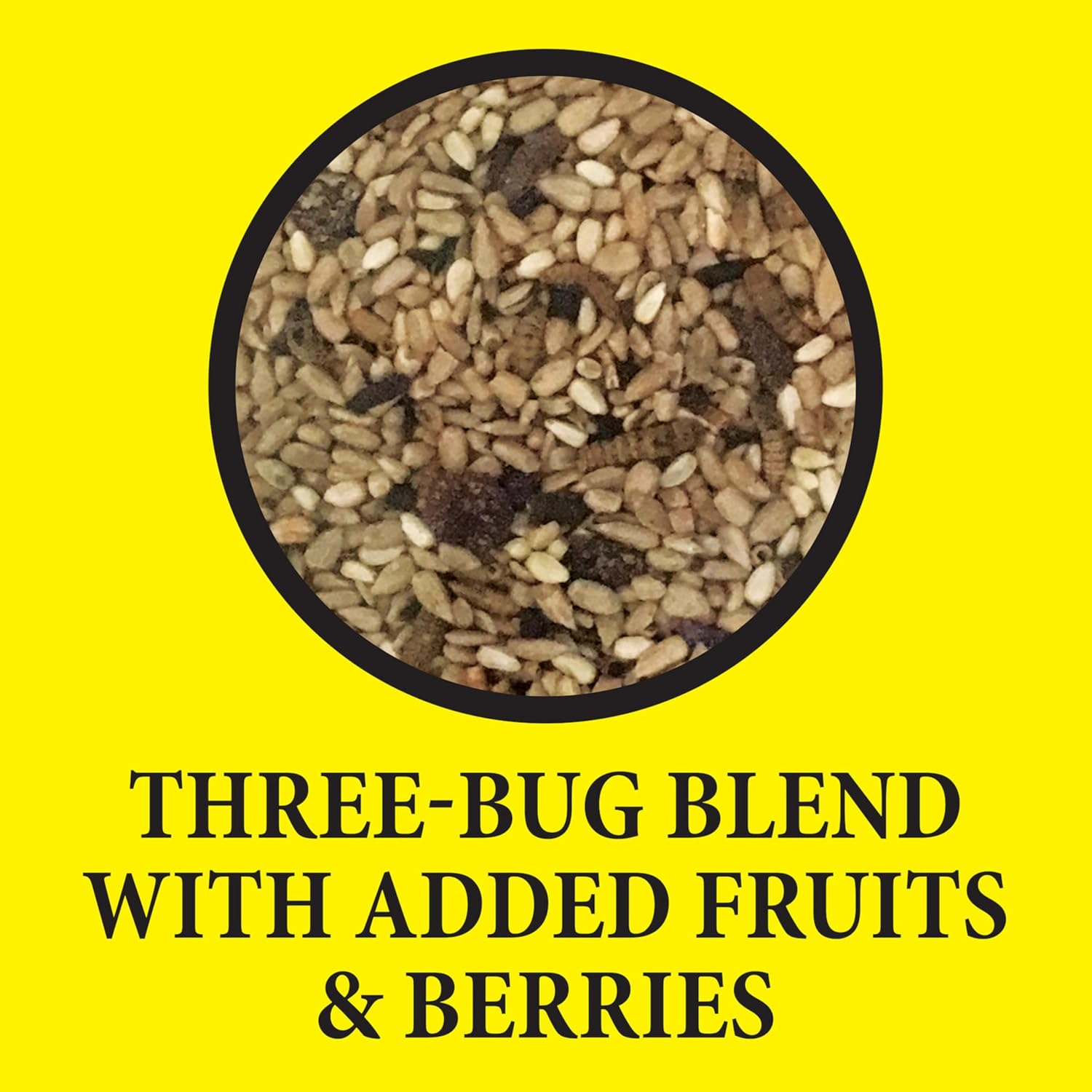 Wild Delight Advanced Formula Bugs N Berries Wild Bird Food 4.5 lbs - Happypetzone.online - Image 8