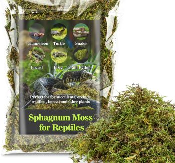 reptile substrate for humidity
