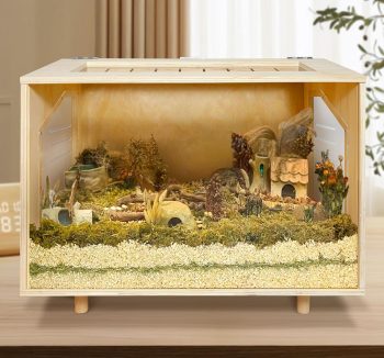hamster tank habitat
