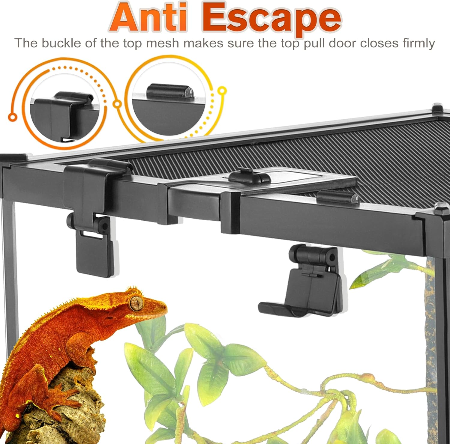 Mini Reptile Glass Terrarium Vivarium 12'' x 8'' x 6'' Full View Tank Small Amphibians Glass Habitat Cage with Feeding Slot & Box Lock Buckle - Happypetzone.online - Image 3