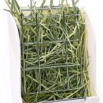 rabbit food hay timothy