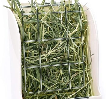 rabbit food hay timothy