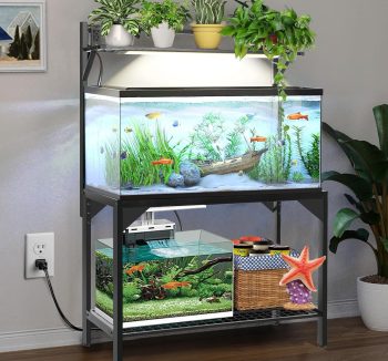 large fish tank 50 gallon