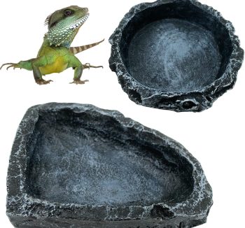 reptile feeding dish