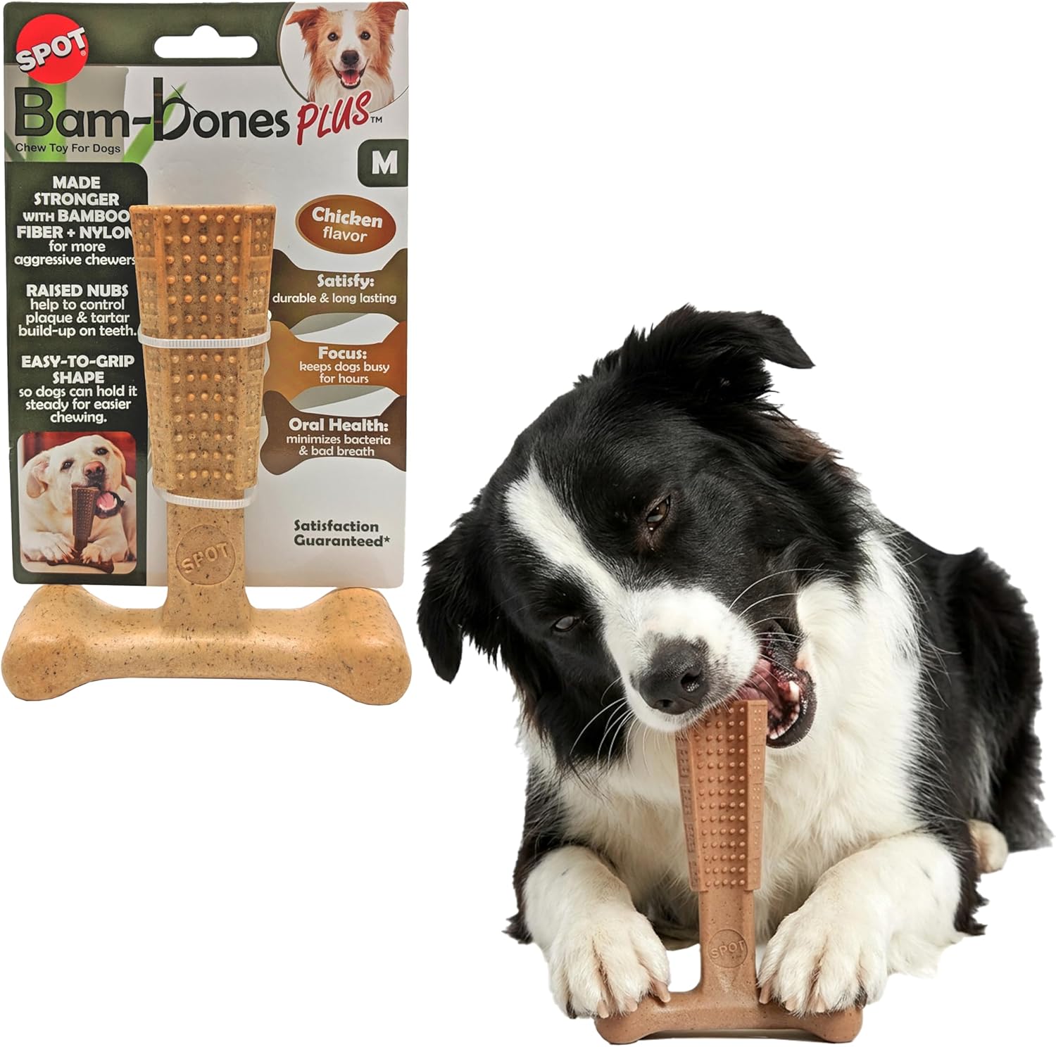 dog chew bones safe