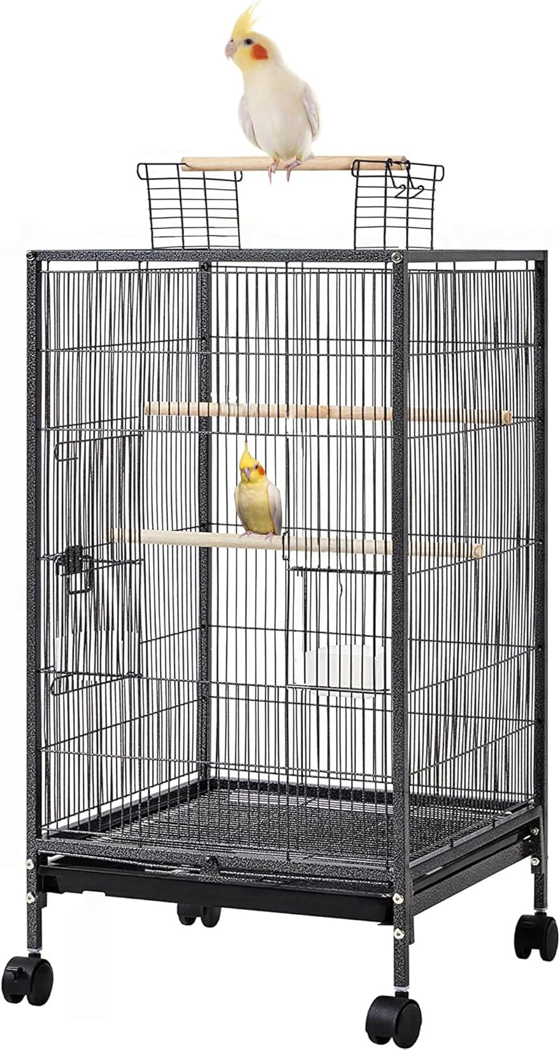 cheap bird cage large
