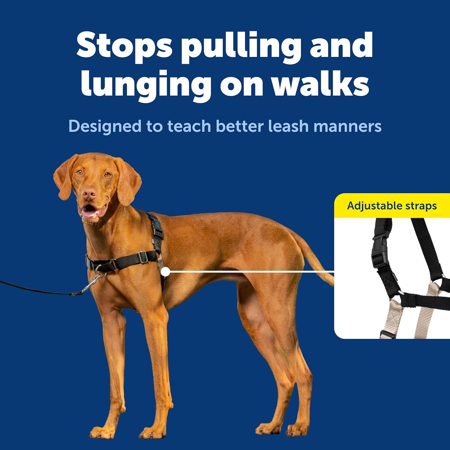 PetSafe Easy Walk Harness for Dogs - Pull-Free Walks - Patented Martingale Loop Design - Front Chest Leash Attachment - Comfort Straps - Breathable Harness Design - Medium, Black/Silver - Happypetzone.online - Image 3