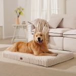 cheap dog beds large