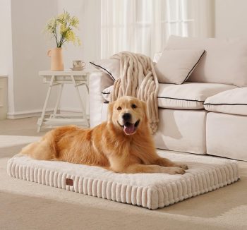 cheap dog beds large