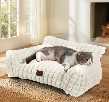 cat sofa for cats
