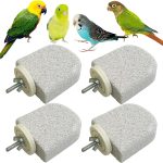 bird care essentials