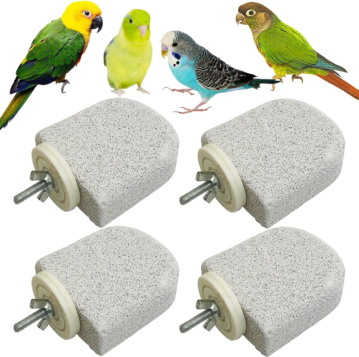 bird care essentials