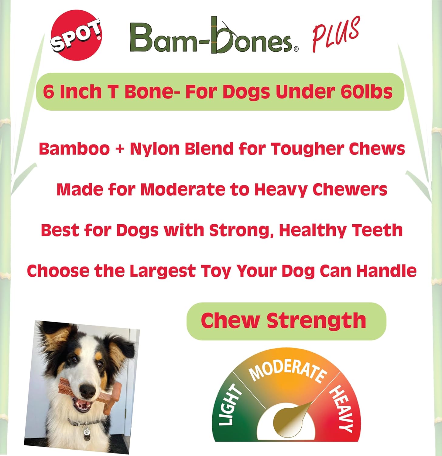 SPOT Bam-Bones Plus T-Bone Dog Chew Toy, Bamboo Fiber & Nylon, Chicken Flavor, Durable Non-Splintering Chew for Moderate to Aggressive Chewers, Dogs 30-60 lbs, 6 Inch - Happypetzone.online - Image 2