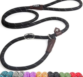 dog training leash